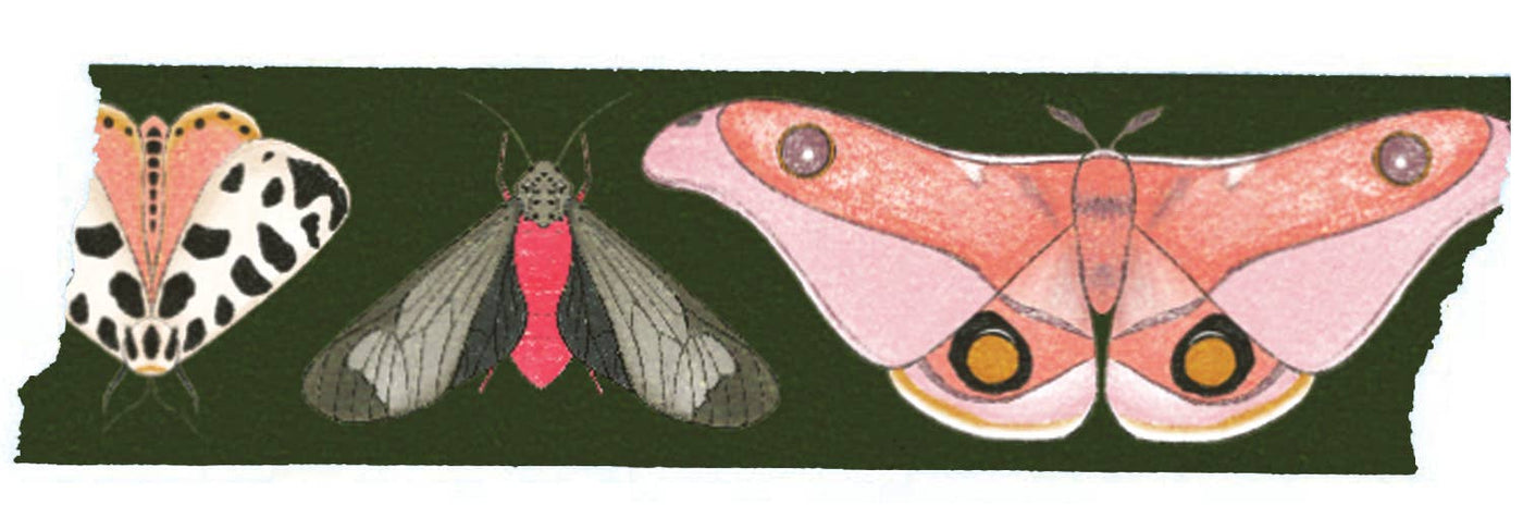 Moth Washi Tape in Pink and Green