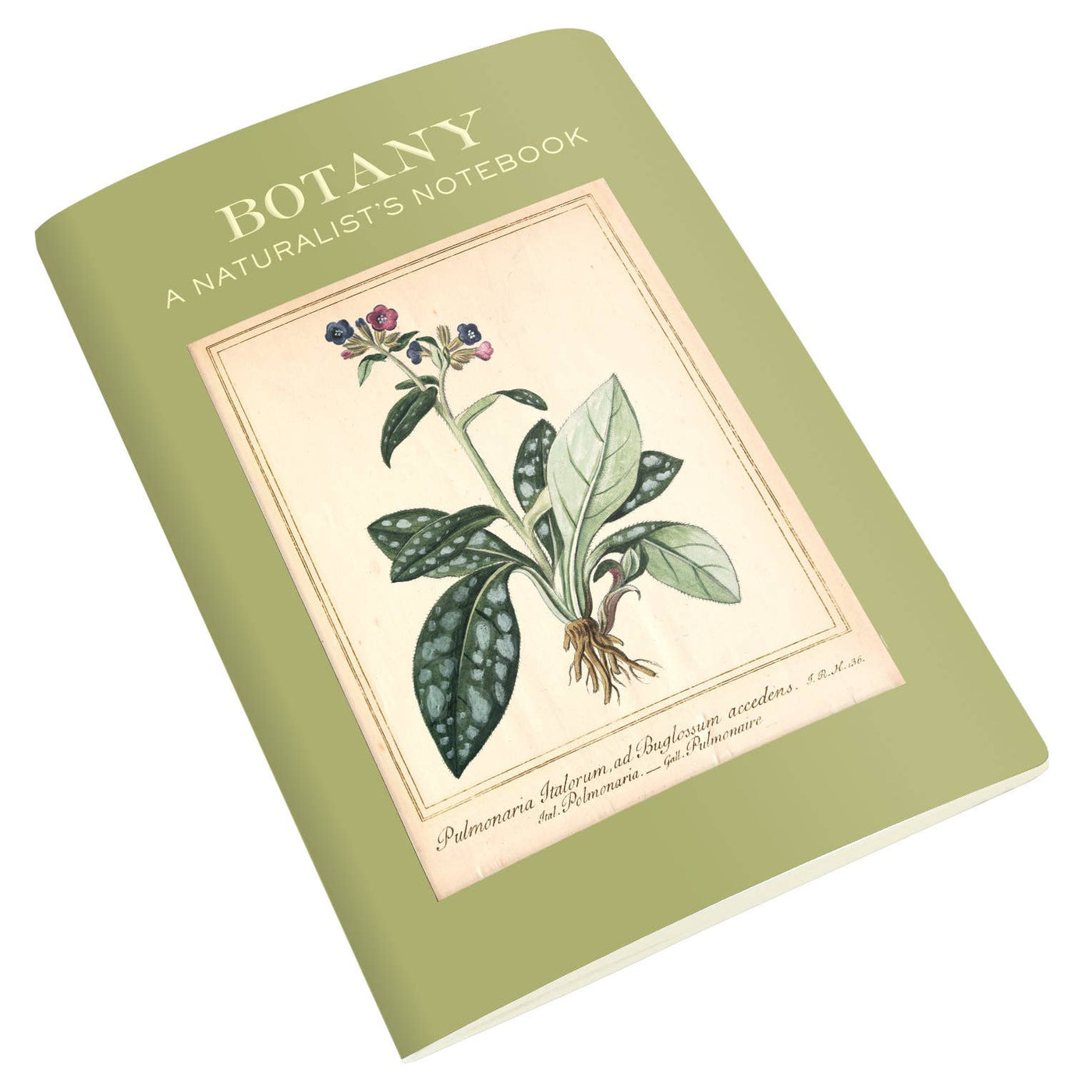 Botany Naturalist's Notebook