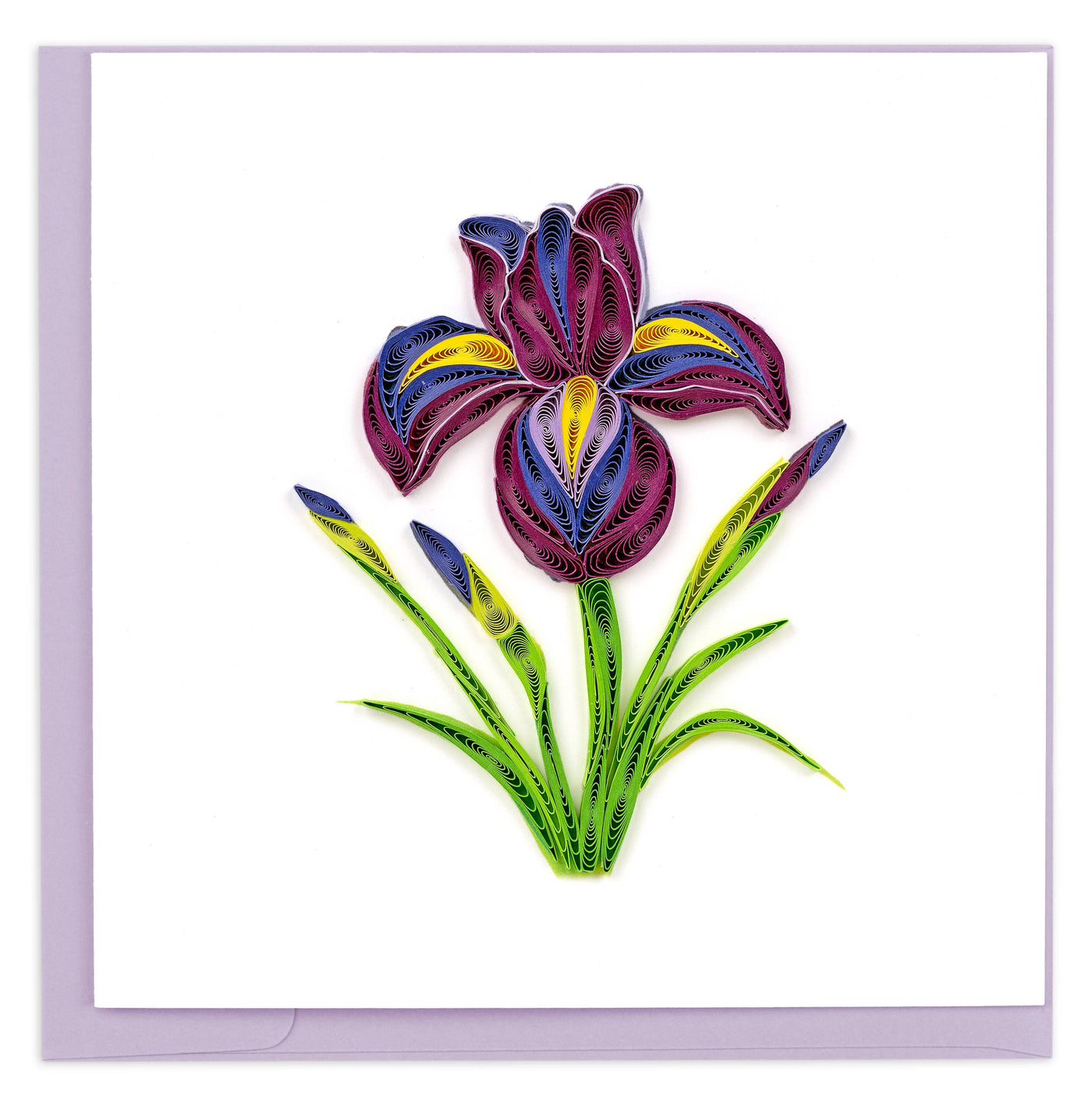 Quilled Iris Greeting Card