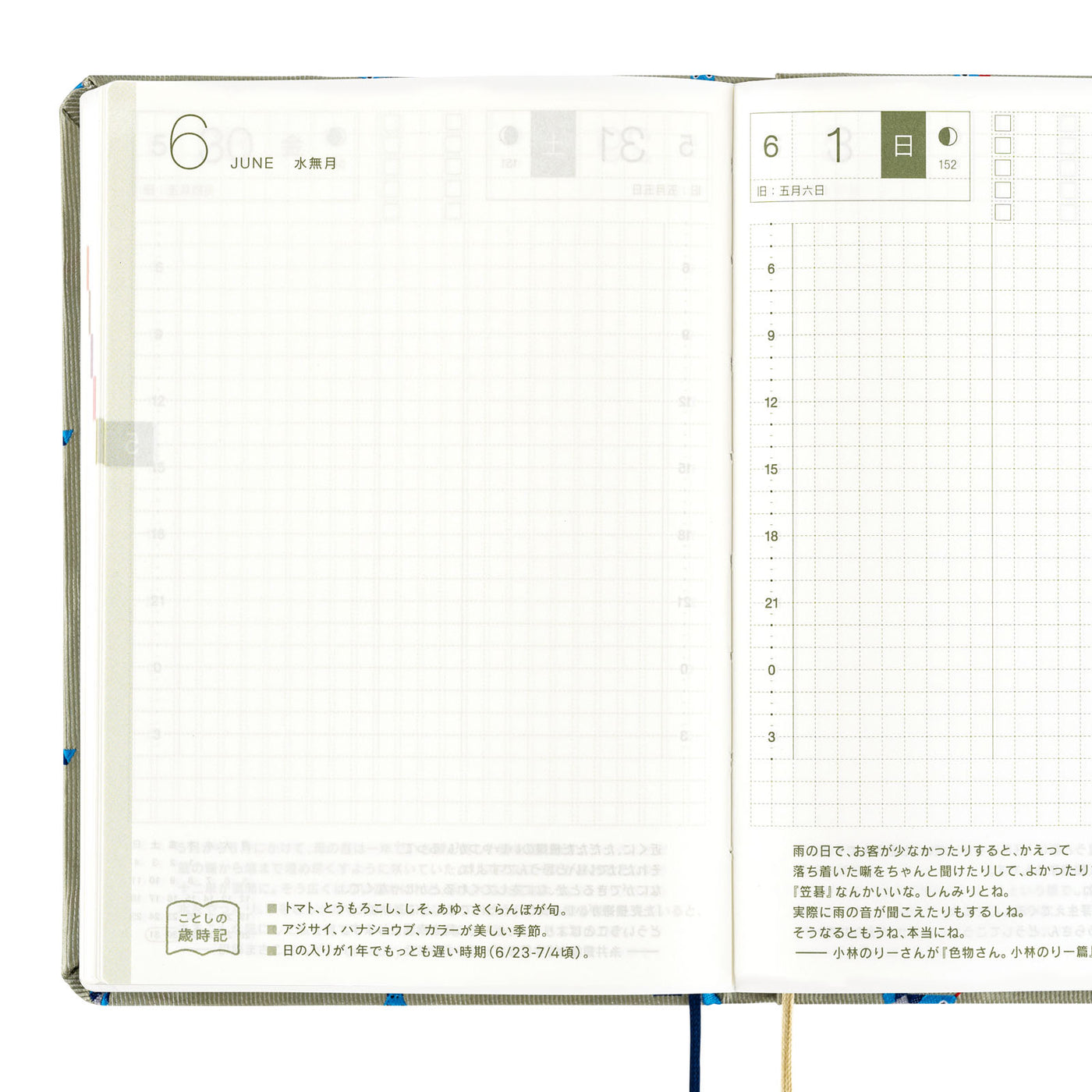 Hobonichi HON A6 - Bow & Tie: Snake Toy