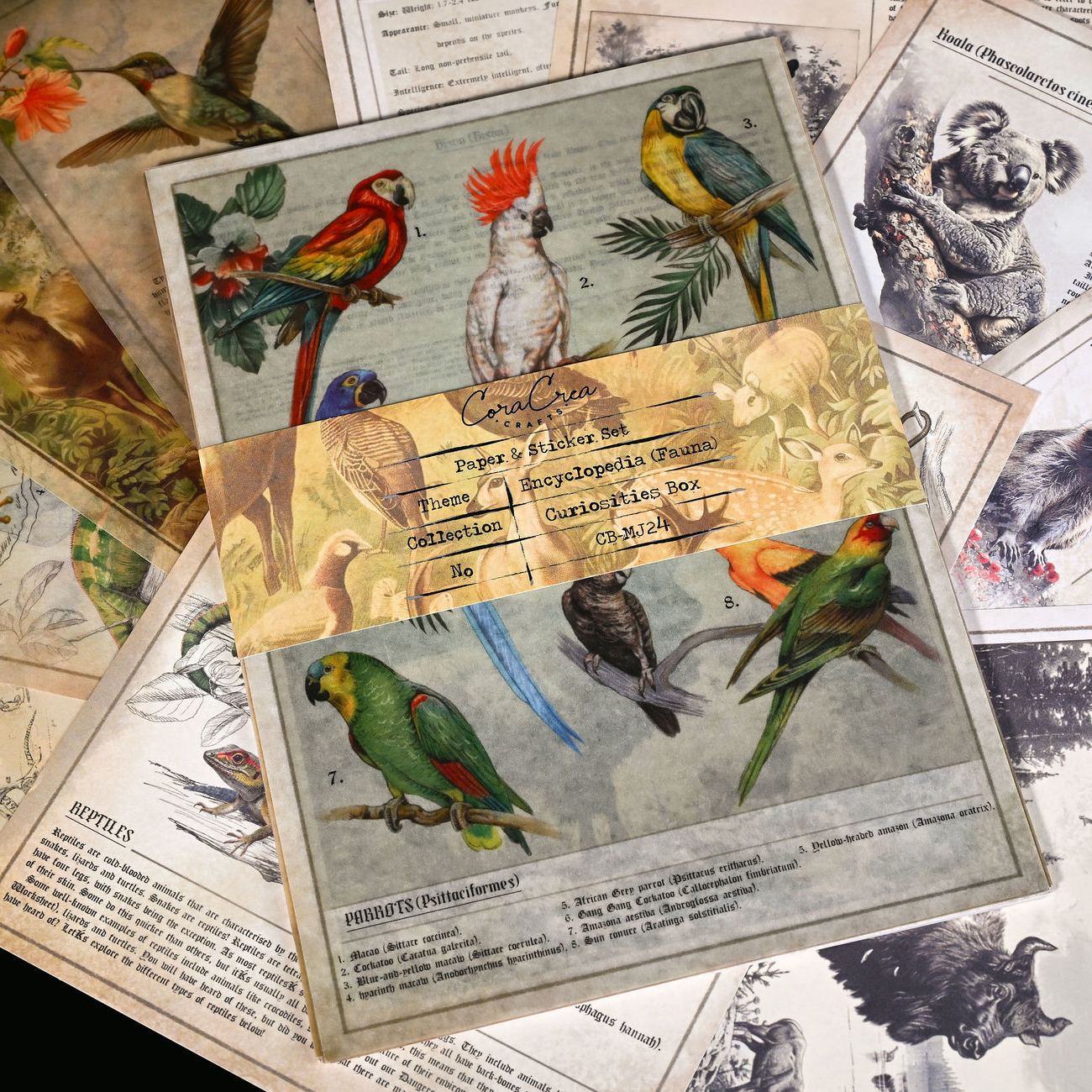 CoraCreaCrafts Sticker & Paper Set - Encyclopedia (Fauna)