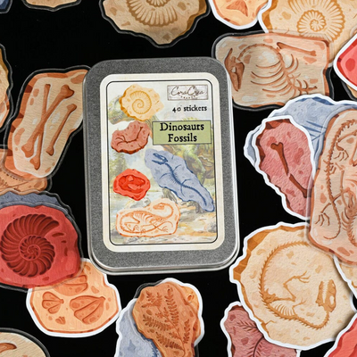 CoraCreaCrafts Sticker Box - Fossils