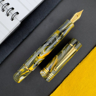 Delta Neo Gallery Fountain Pen - Marigold