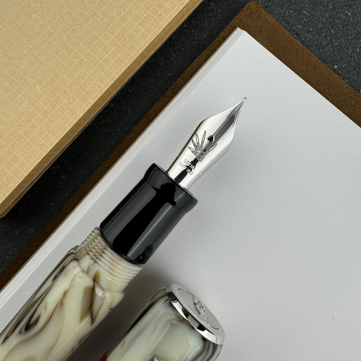 Delta Papuasi Fountain Pen (Limited Edition)(Doorbuster)