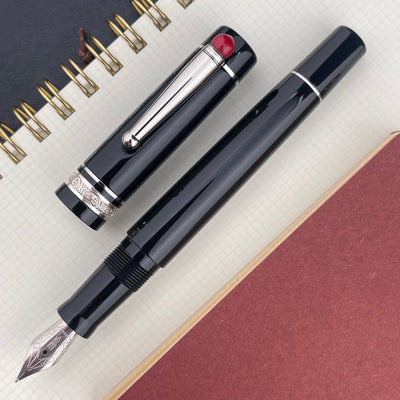 Delta WE Fountain Pen - 17 (Black)