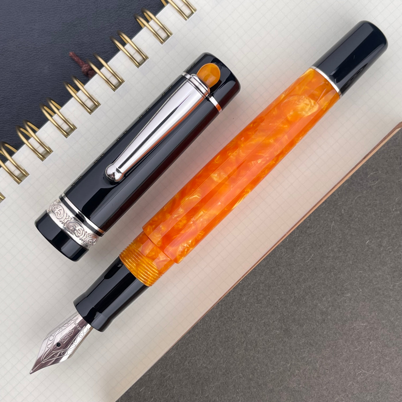 Delta WE Fountain Pen - Classic DV