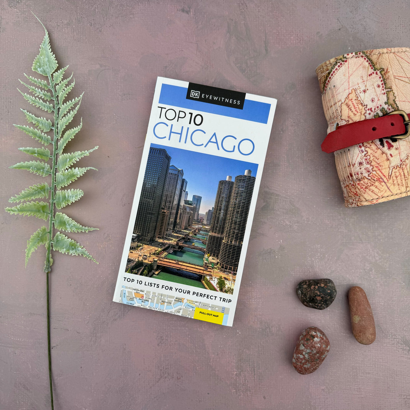 DK Eyewitness Travel Guide - Top 10 Chicago