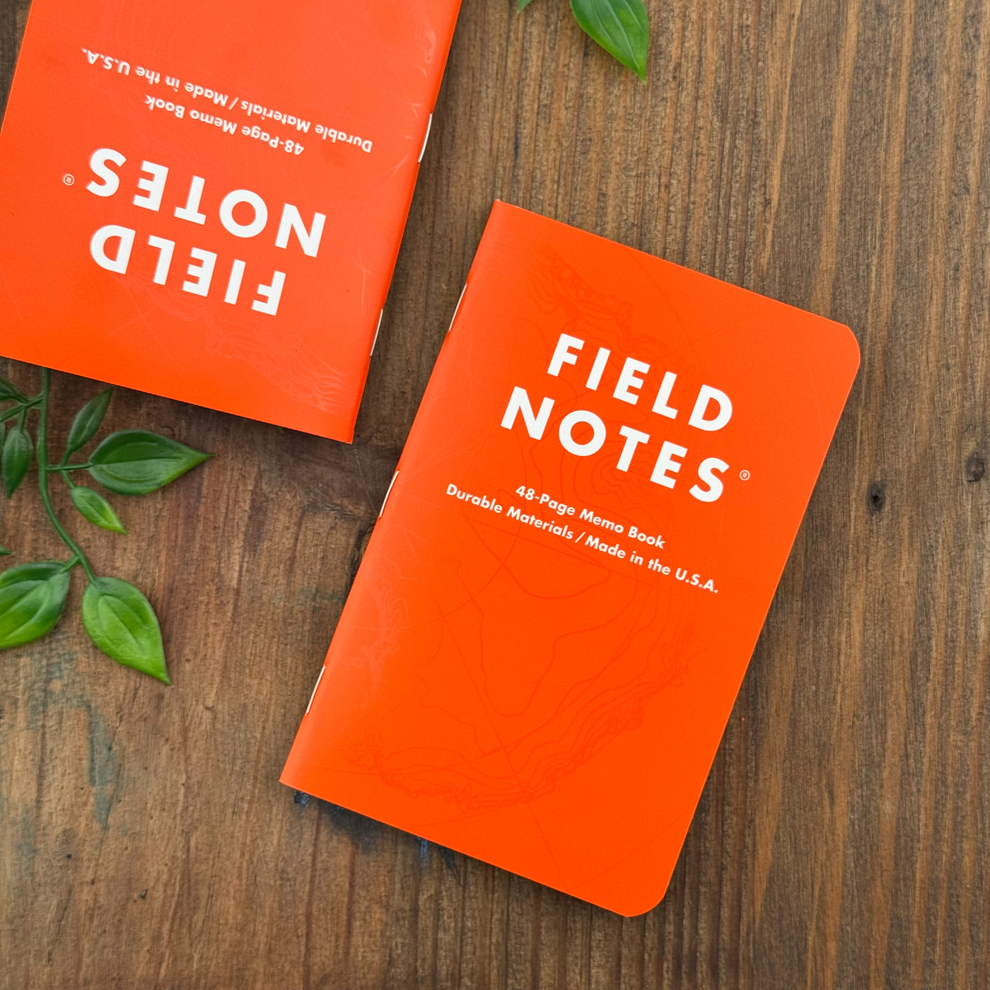 Field Notes - Expedition