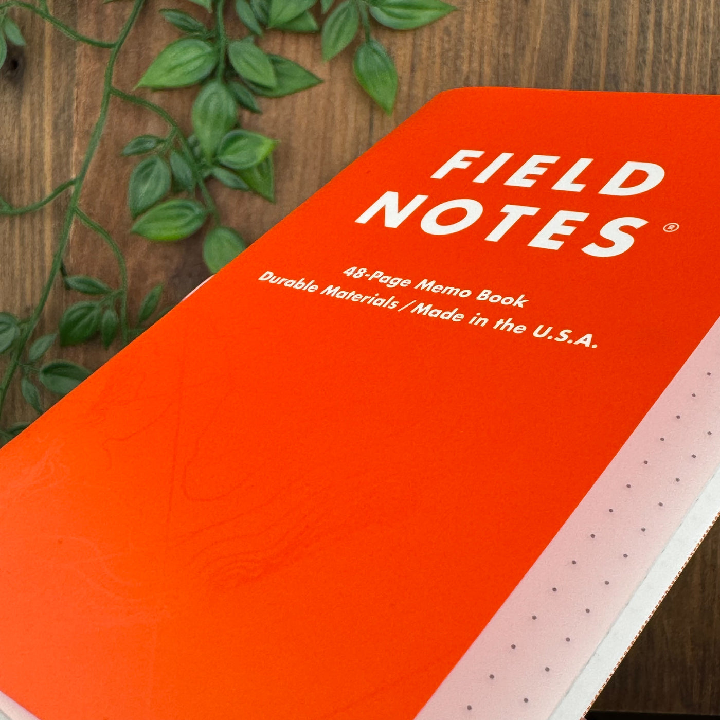 Field Notes - Expedition