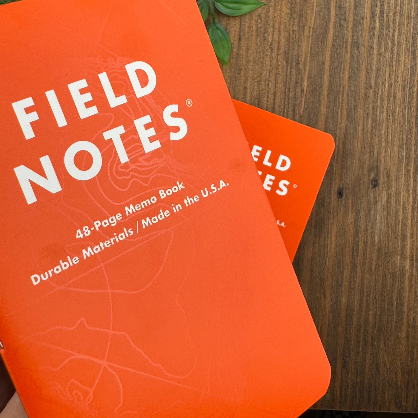 Field Notes - Expedition