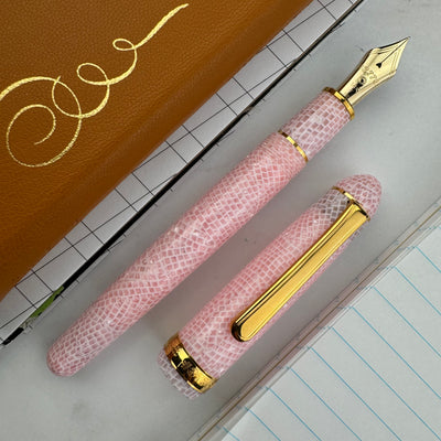 Platinum #3776 Celluloid Fountain Pen - Cherry Blossom