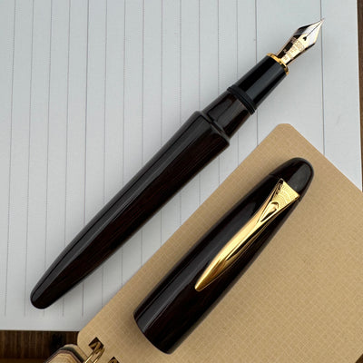 Platinum Izumo Fountain Pen - Glossy Bombay Black Wood (Tagay)