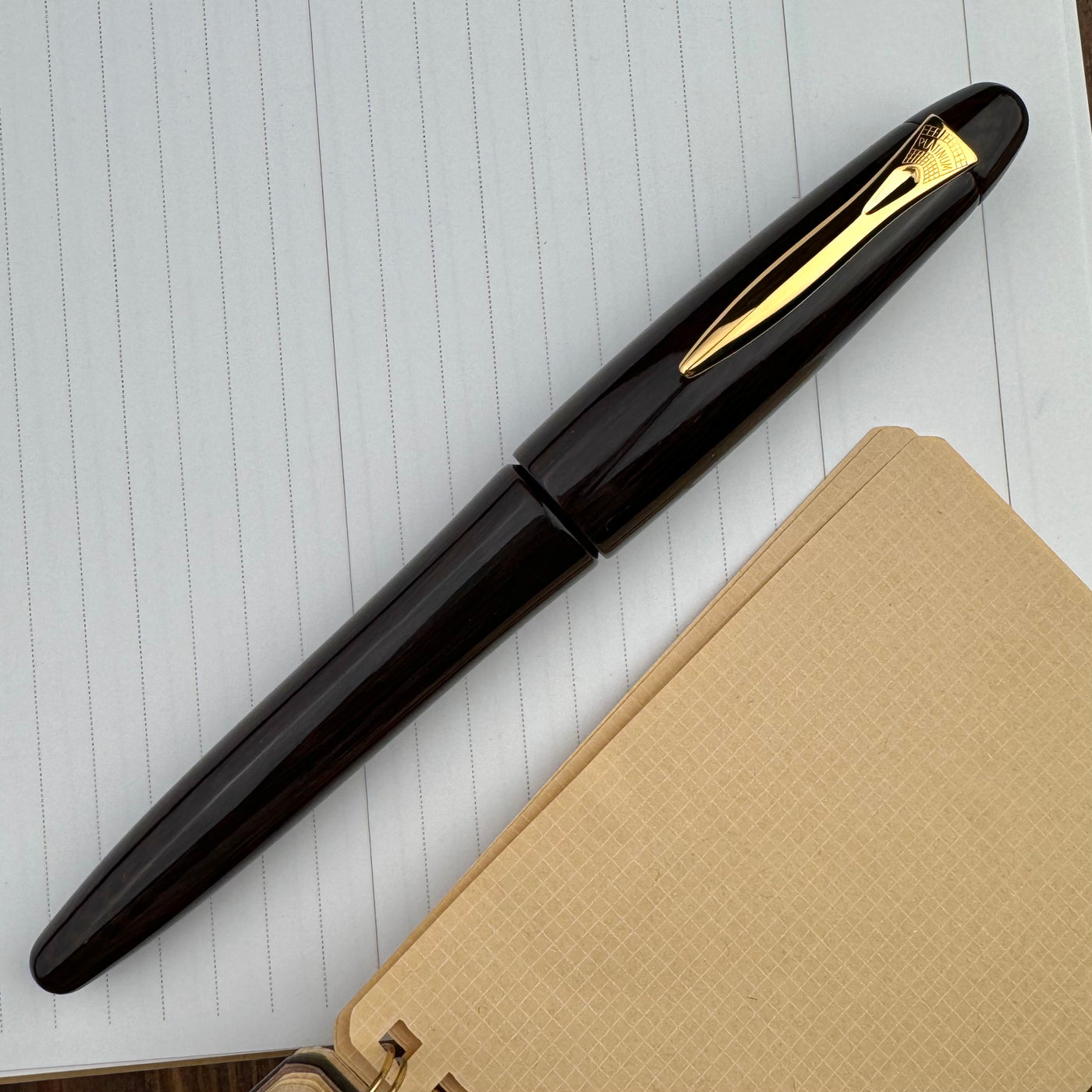 Platinum Izumo Fountain Pen - Glossy Bombay Black Wood (Tagay)