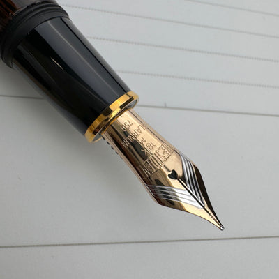 Platinum Izumo Fountain Pen - Glossy Bombay Black Wood (Tagay)