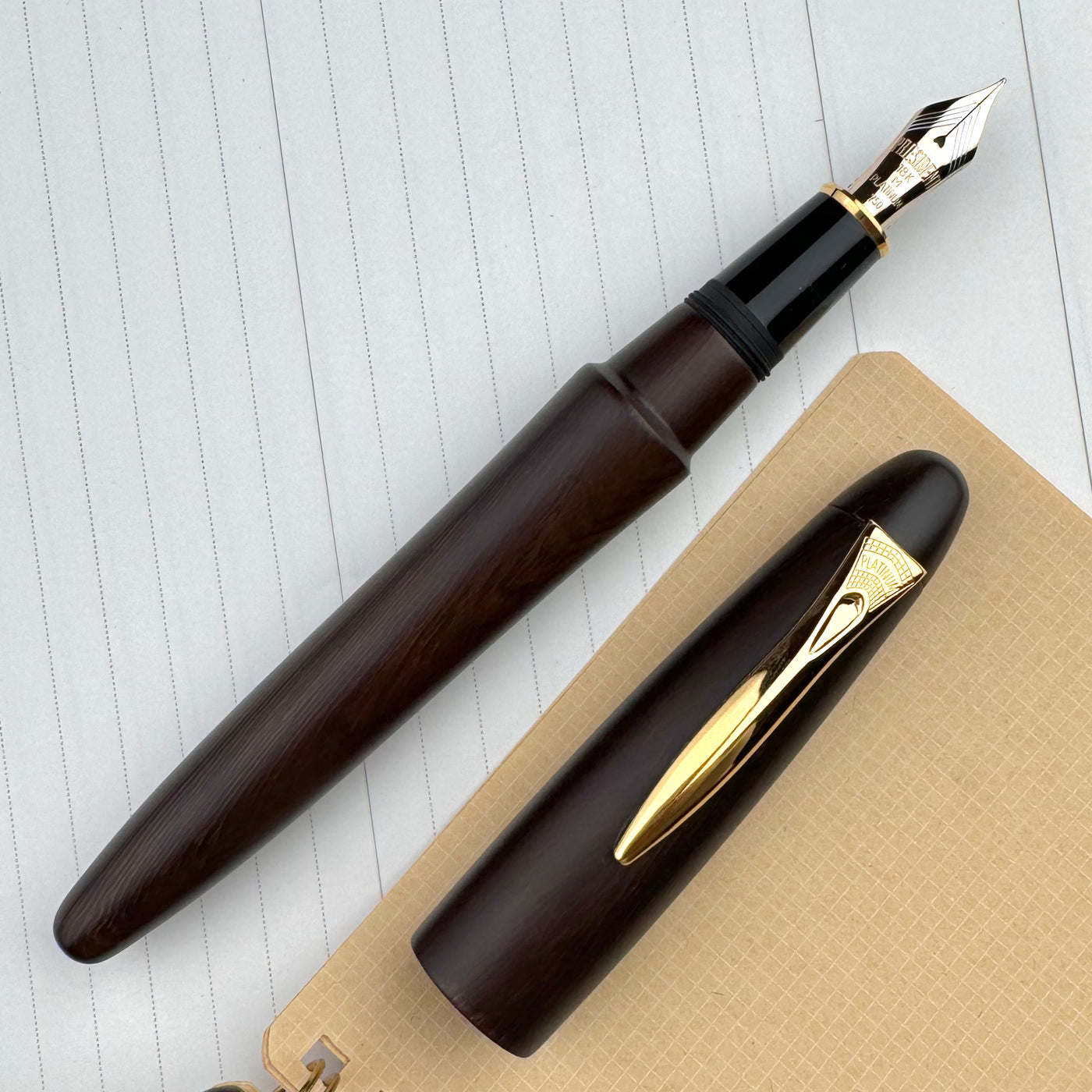 Platinum Izumo Fountain Pen - Matte Bombay Black Wood (Tagay)