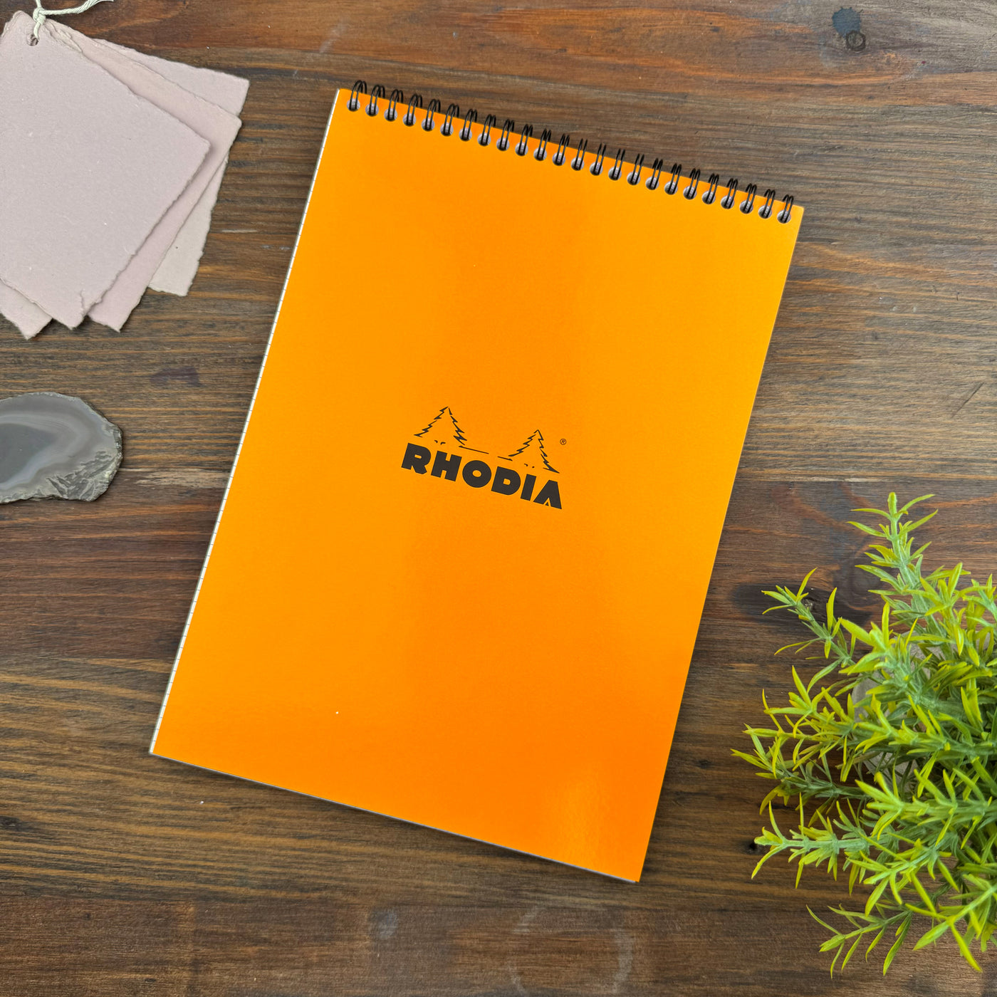 Rhodia Wirebound Notepad - Graph 80 sheets - 8 1/4 x 11 3/4 - Orange cover