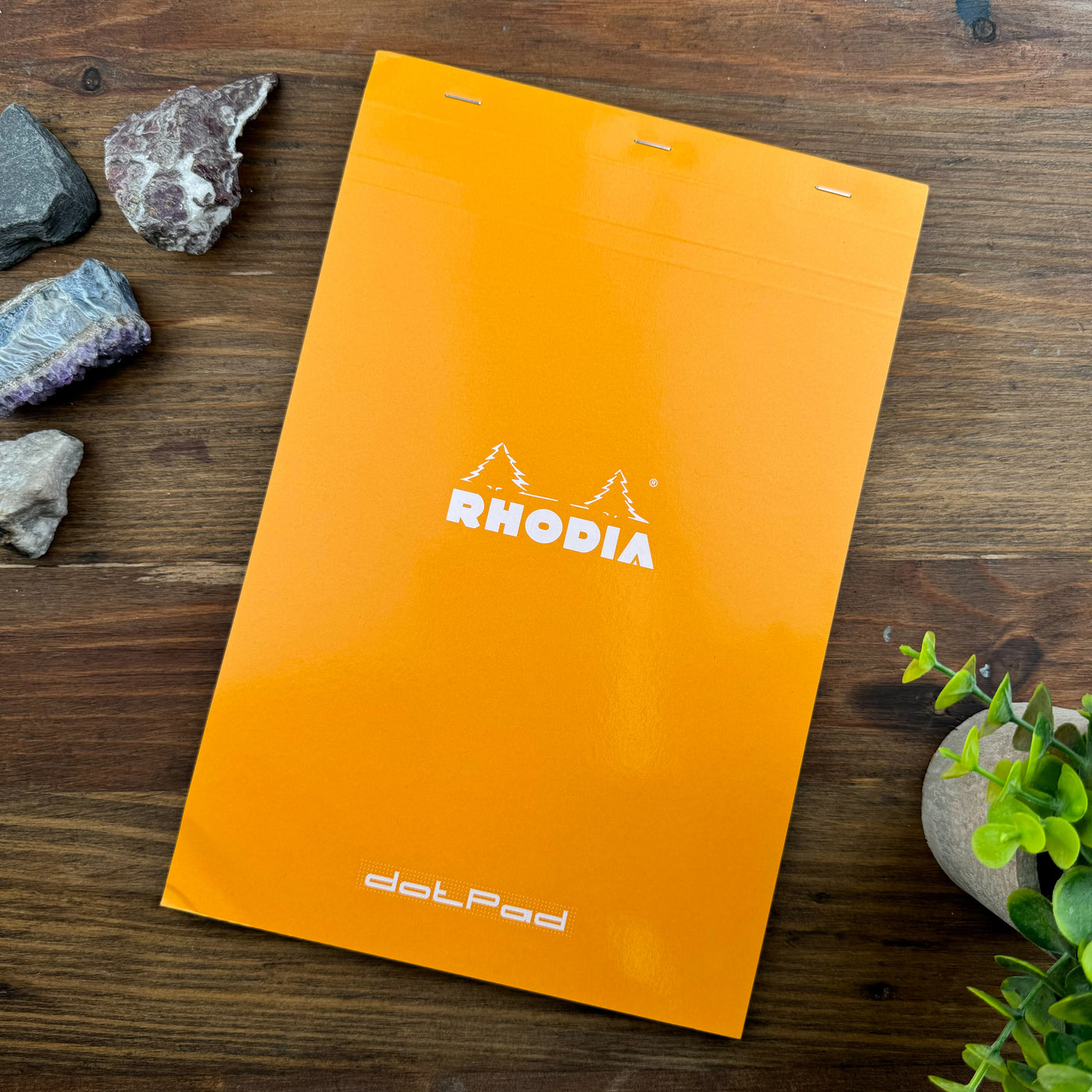 Rhodia Staplebound Notepad - Dot grid 80 sheets - 8 1/4 x 12 1/2 - Orange cover