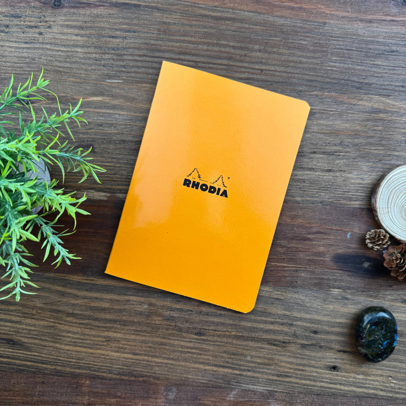 Rhodia Slim Staplebound Notebook - Lined 48 sheets - 6 x 8 1/4 - Orange cover