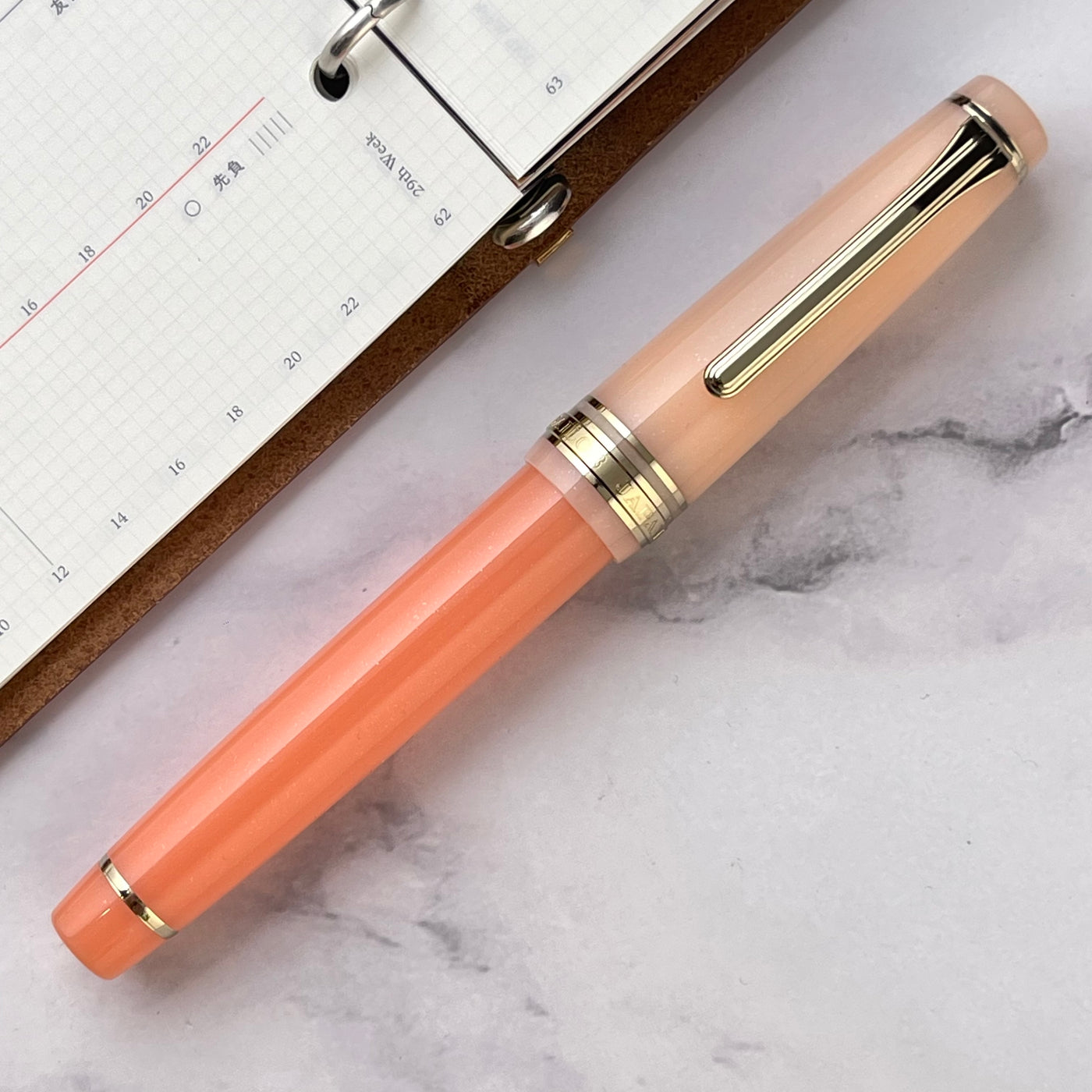 Sailor Pro Gear Fountain Pen - Cantaloupe (Special Edition)