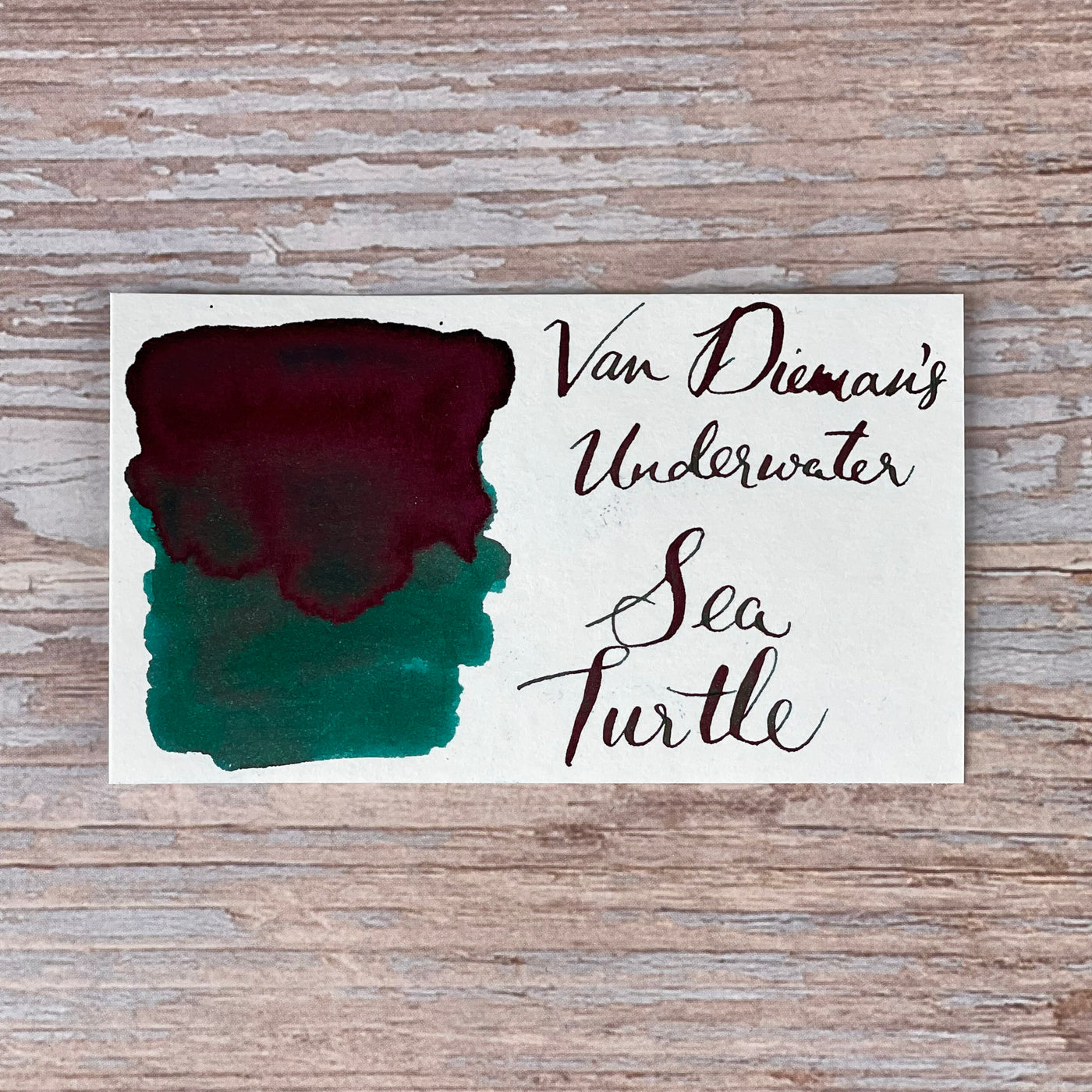 Van Dieman's Underwater - Sea Turtle - 30ml Bottled Ink